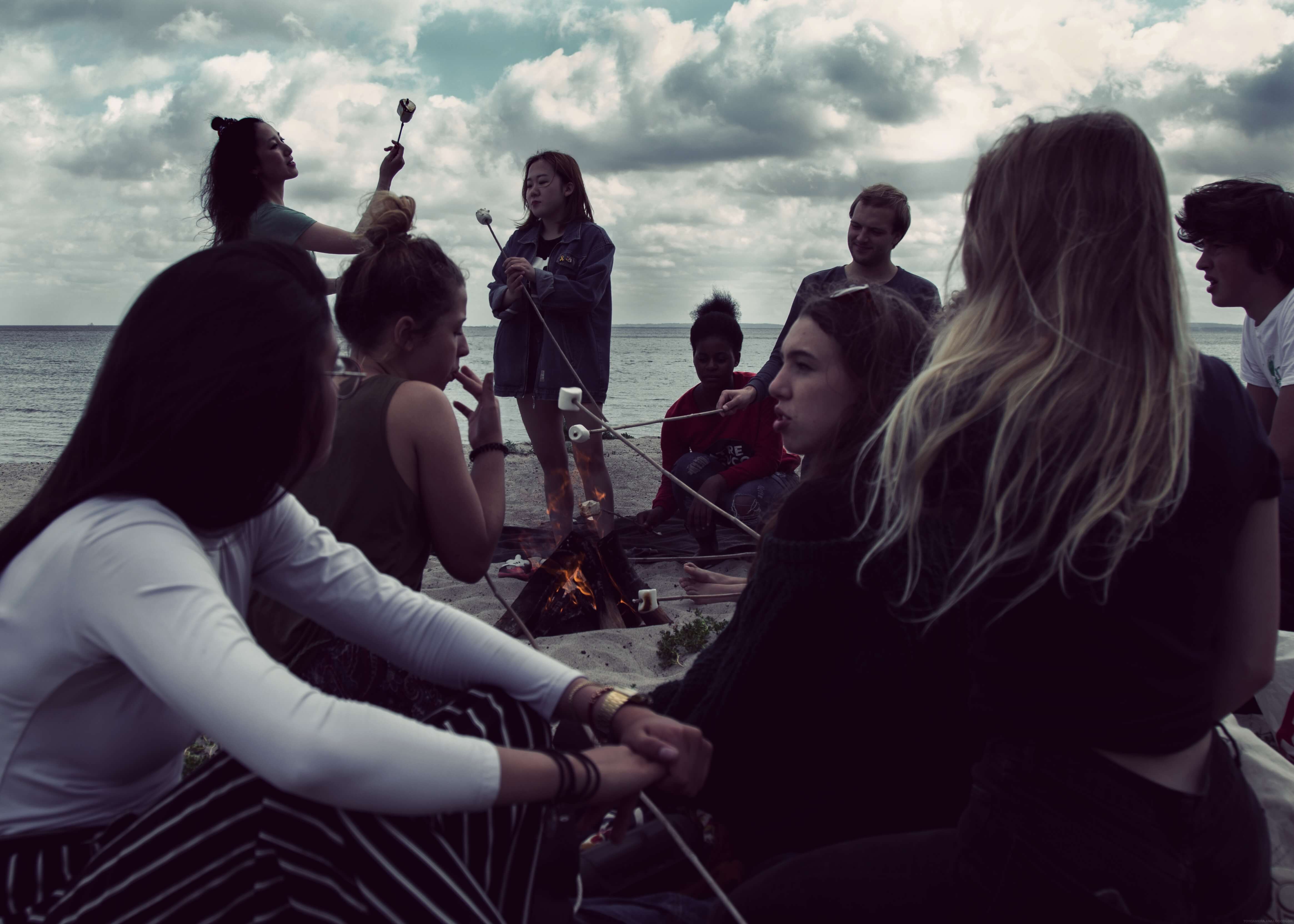 Folk High School Activity at International People's College in Denmark beach trip
