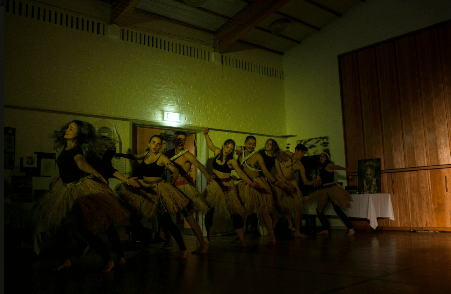 Folk High School African Drum and Dance at International People's Collge in Denmark