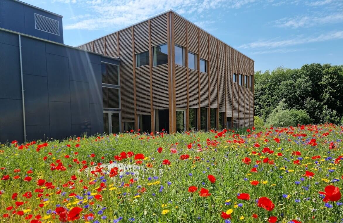 New building at International People's College a folk high school in Denmark UN-Hall Summer flowers