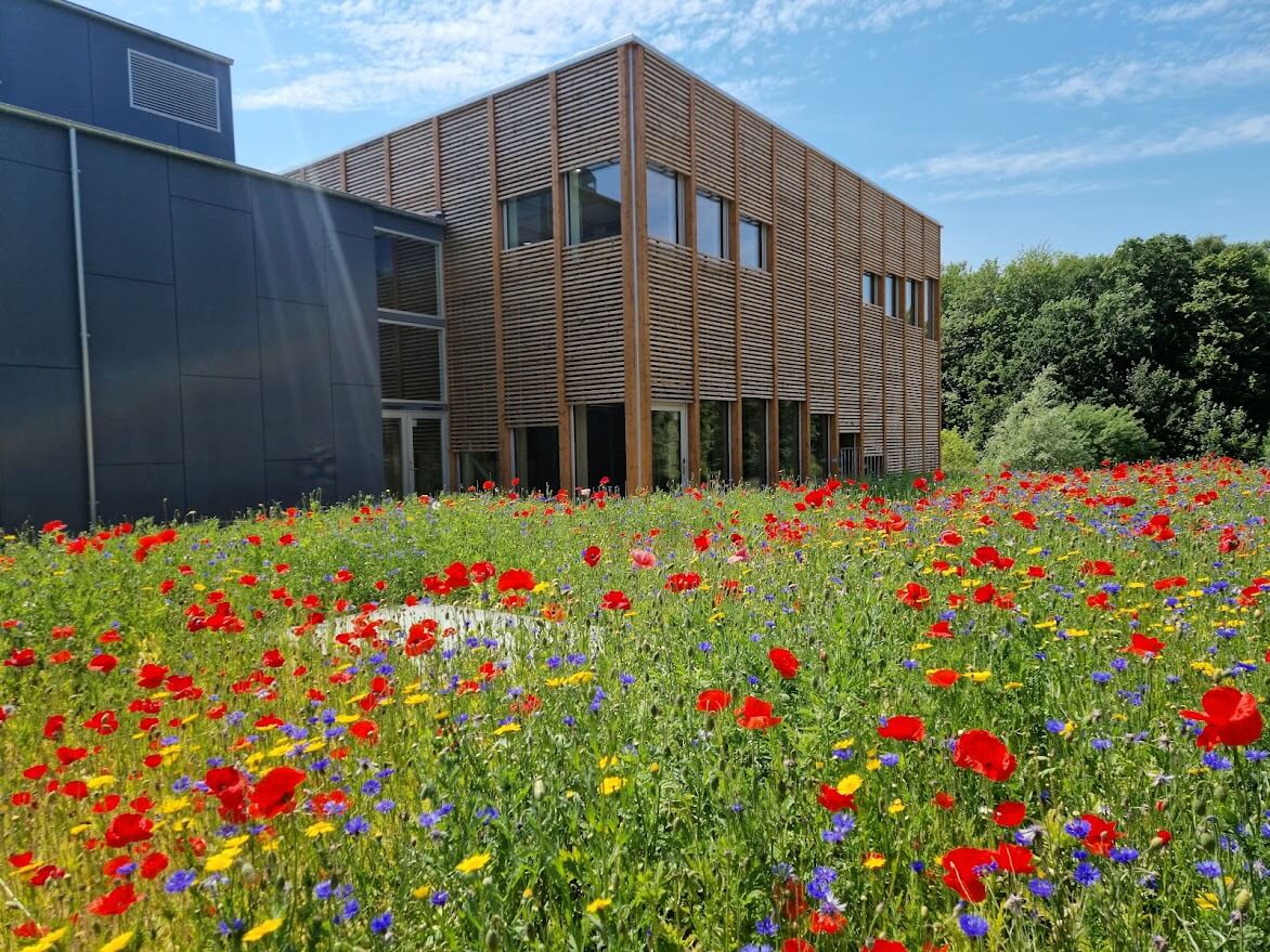 New building at International People's College a folk high school in Denmark UN-Hall Summer flowers