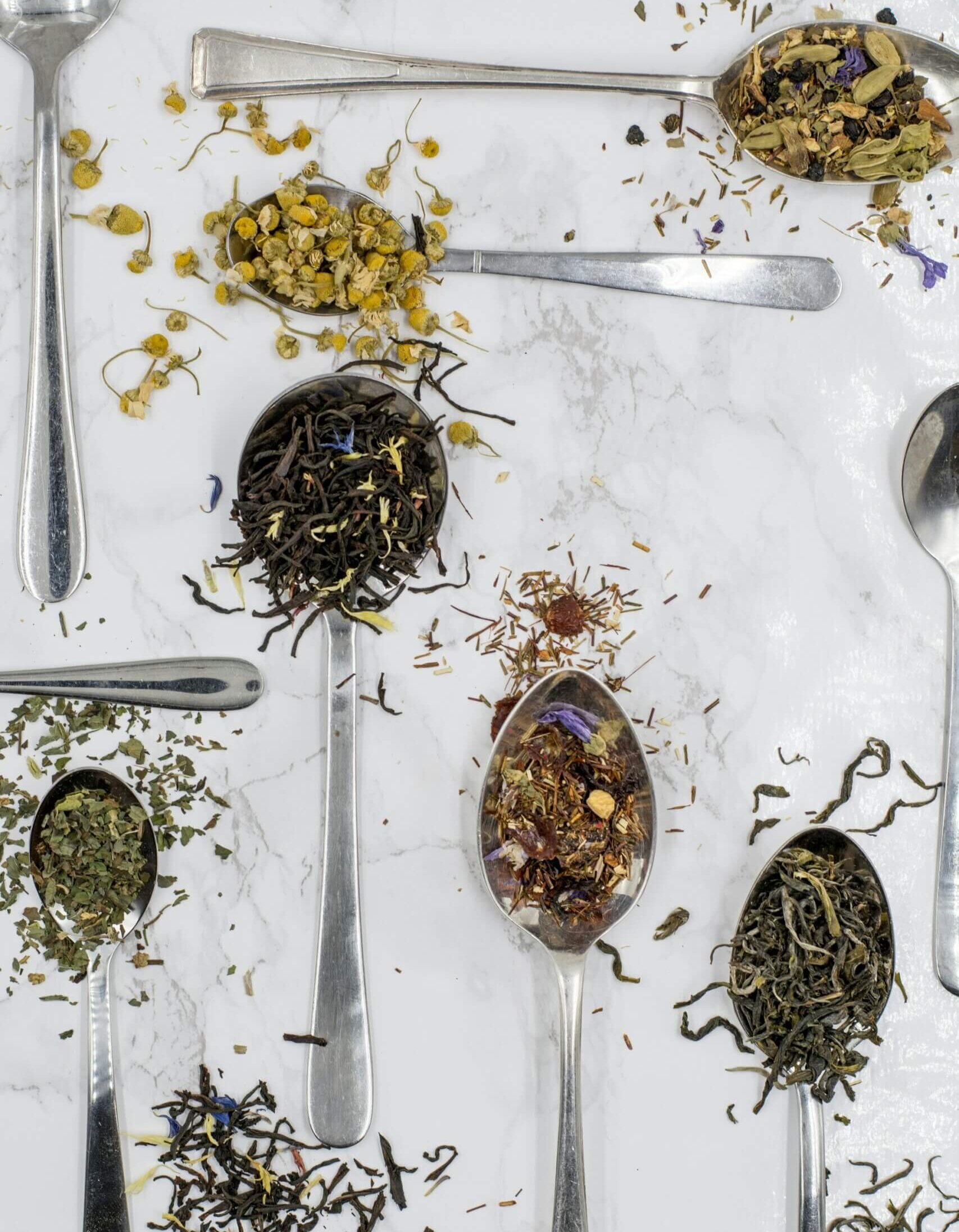 Te, velvære og urternes kraft. Tid til te på Den internationale højskole