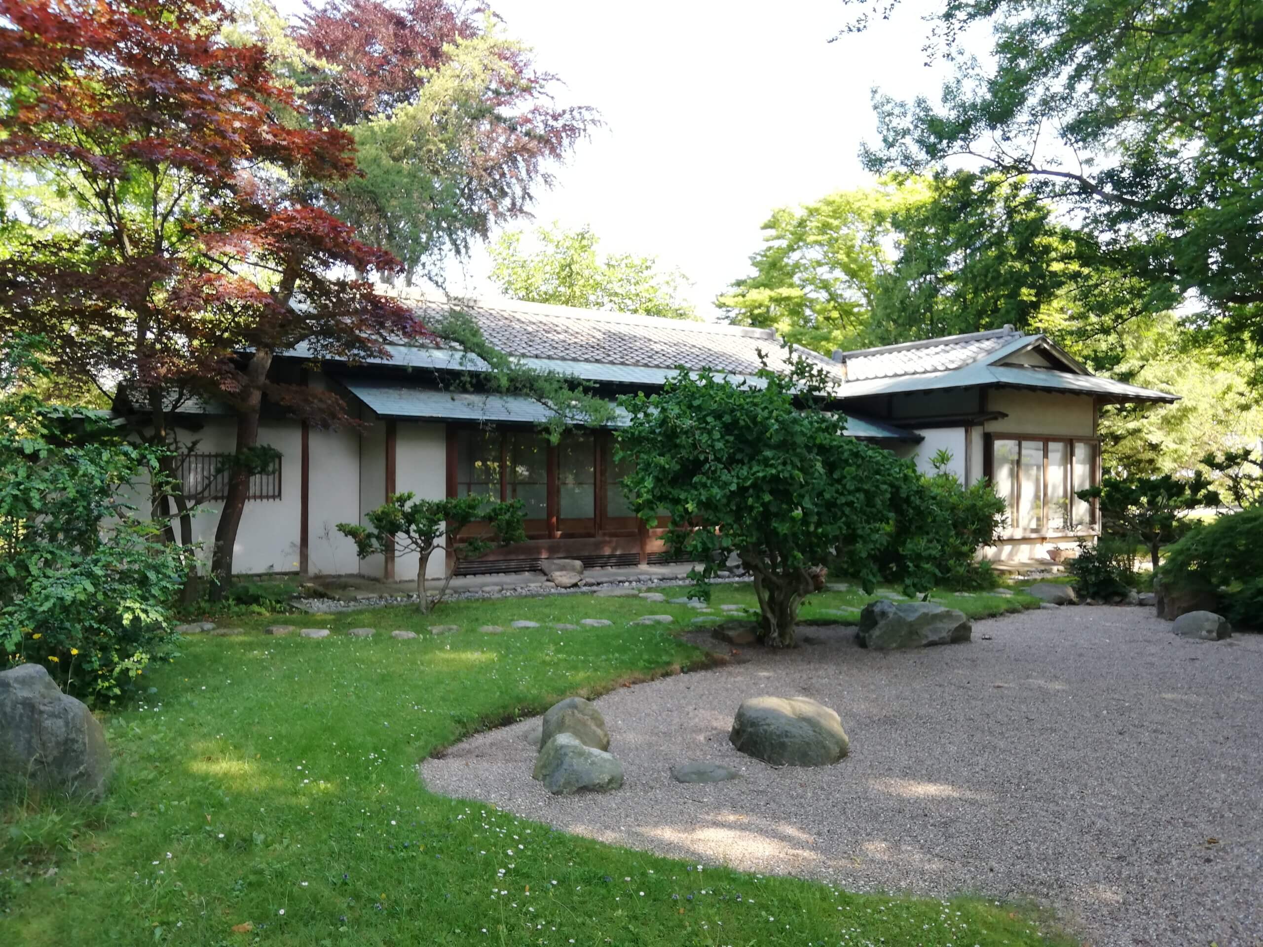Japansk teceremoni - kort kursus på Den Internationale Højskole